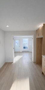 3 1/2 - Montréal (Centre-Sud) - 1 395 $/mois - Photo 4