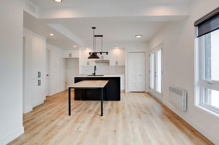 65, rue Michel-Robidoux #102, East-Angus - Photo 4