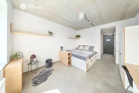 Pronájem moderního 1+kk (Double A) u Vaňkovky – BEZ PROVIZE! - Fotografie 2