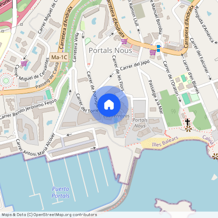 8 Carrer Torrent, Portals Nous, Balearic Islands 07181, Portals-Nous