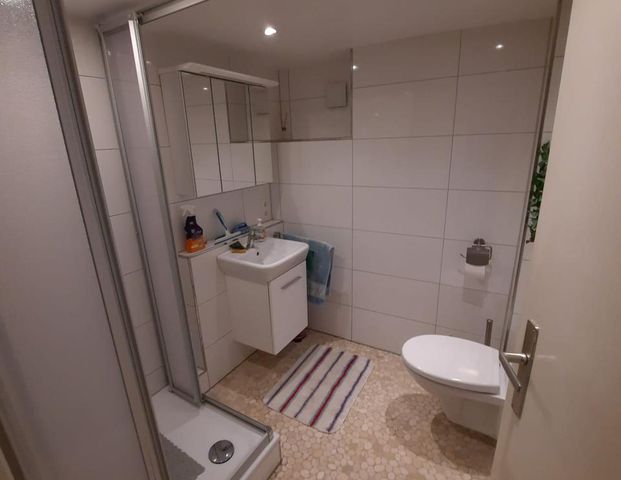 Ruhiger Mieter in schöner Gegend gesucht - Foto 1