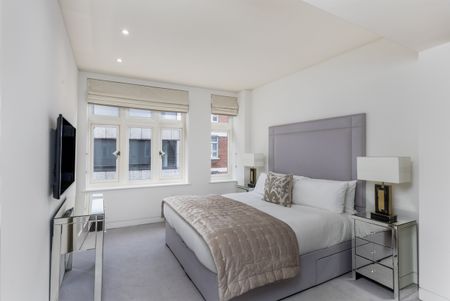 A Mayfair Apartment with a Private Terrace - Photo 5