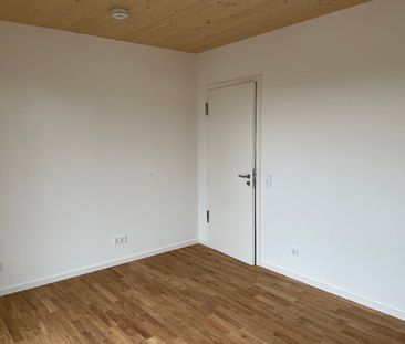 sehr schöne Wohnung - Erstbezug *Holzhaus* - Photo 3