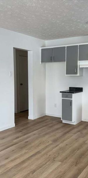 BEAU 4 1/2 | CHAUFFAGE & EAU CHAUDE - Photo 1