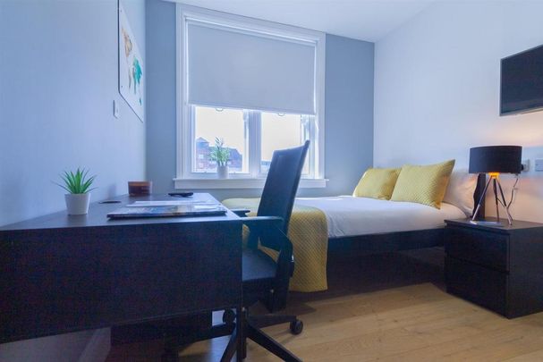 Studio to rent - Photo 1