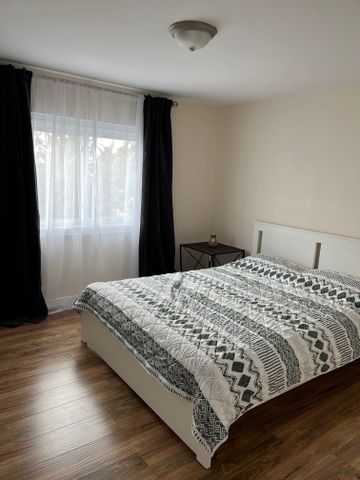 For Lease - 1171 Pine Ridge Road, Asphodel-Norwood, Ontario - Photo 4