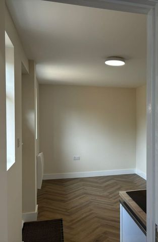 Studio Flat, Cavendish Road, N18 - Photo 4