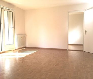 Living with a bird's-eye view - Photo 3