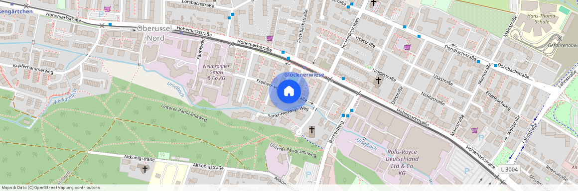 Freiherr-v.-Stein-Str. 4, 61440, Oberursel