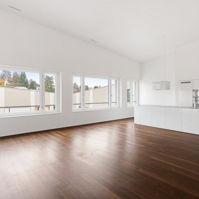 3 ½ Zimmer-Wohnung in Winterthur mieten - Photo 1