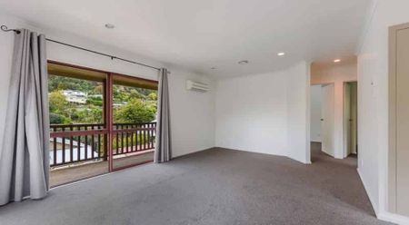 Overlooking Wairau Road - Photo 2