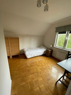 Ringen, Boliden - Photo 1