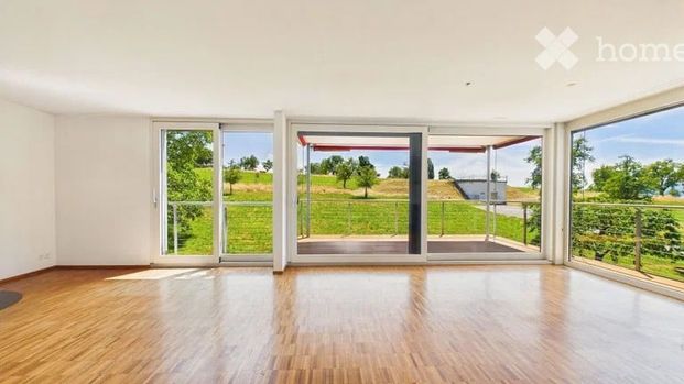 Exklusive 4.5-Zimmer-Wohnung mit Panoramablick in Zürich-Witikon – grosszügig, modern und naturnah - Foto 1