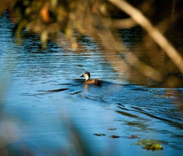 Premium Acreage Near Billionaire's Row 2.1 Hec - Photo 1