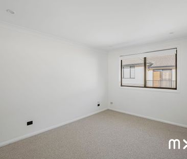 Among the Gums - Photo 2