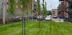 4 1/2 - Laval (Laval-des-Rapides) - 1 760 $/mois - Photo 2