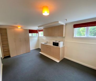 1 Bedroom Large Split Villa - New Lynn - Photo 1