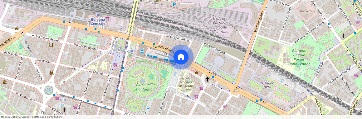 Viale Angelo Masini, Bologna, Emilia-Romagna 40126