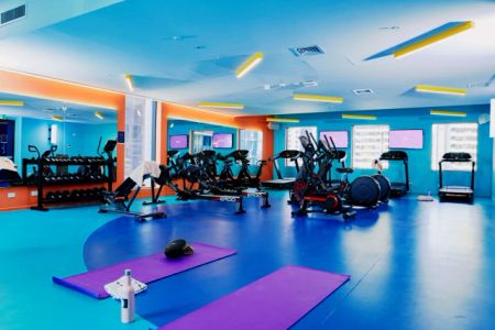 Scape Franklin, Melbourne - Photo 5