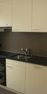 Gemütliche Wohnung mitten in Horw - Foto 3