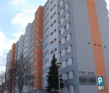 Nowy pokój (+3pok.)umeblowane,wyposaż. St.Żegrze - Zdjęcie 2