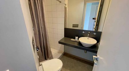 Prime Ponsonby Location! - Photo 5