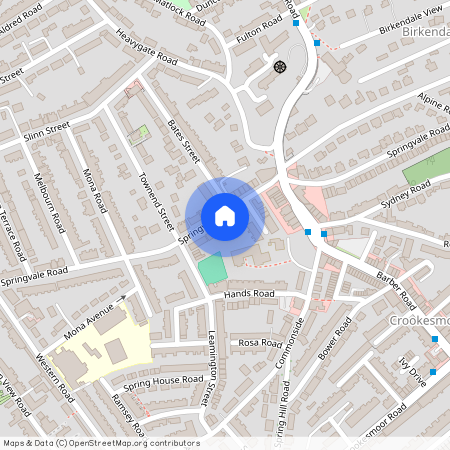 227 Springvale Road, Crookesmoor