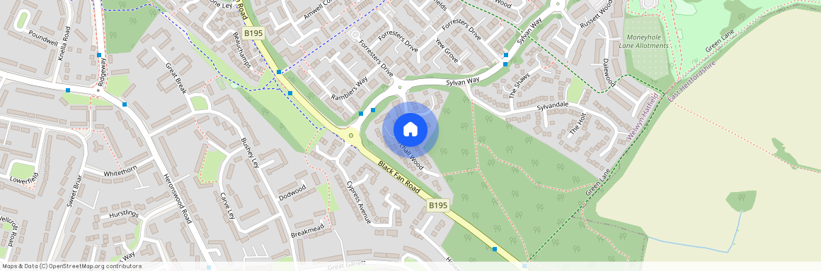 Birchall Wood, Welwyn Garden City, AL7
