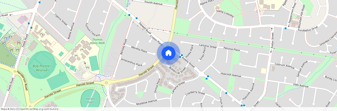 1/8 Astelia Street, NSW 2564, Macquarie Fields