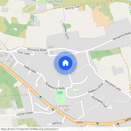 Pennance Parc, Lanner, TR16 5TY