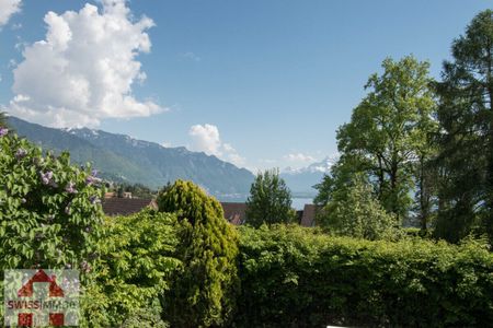 BELLE VILLA INDIVIDUELLE A BLONAY - Photo 4