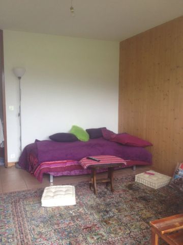 Location Appartement 1 pièce 30m² SALLANCHES 74700 - Photo 2