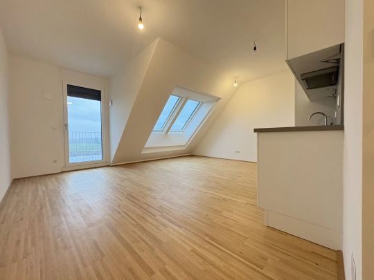 2-Zimmer | Terrasse |1000€ XXXLutz Gutschein für jeden Mieter | PFALZGASSE 29 | ERSTBEZUG | nähe U2 - Photo 1