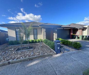 “Family Living in the Heart of Mernda” - Photo 4