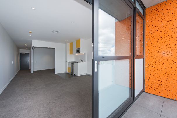 The Orange - Photo 1