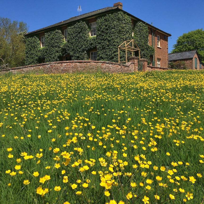 Beautiful & Spacious Barn Conversion to Let in Fitzhead - Photo 1