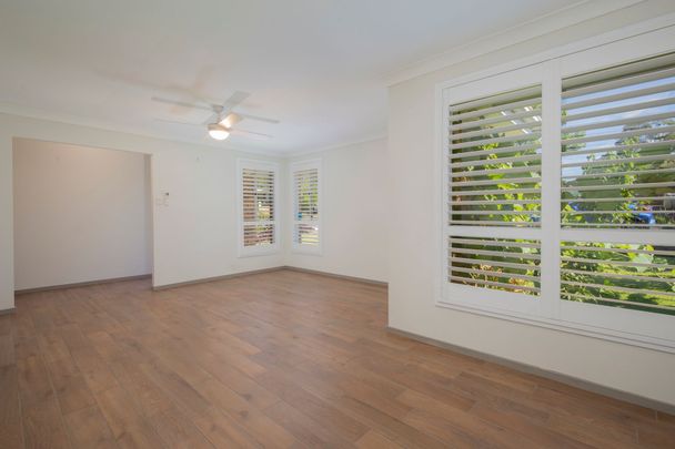 Renovated 3 Bedroom with Huge Shed at the Rear! - Photo 1