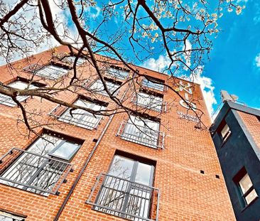 Studio to rent - Photo 6