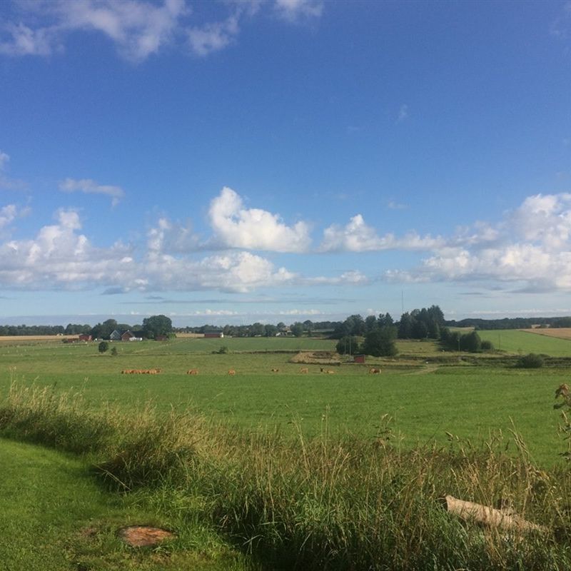 Östraby 9105 - Photo 1