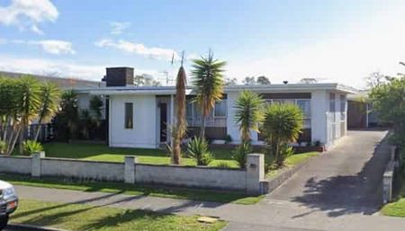 Tidy 3 bedroom in Tamatea - Photo 4