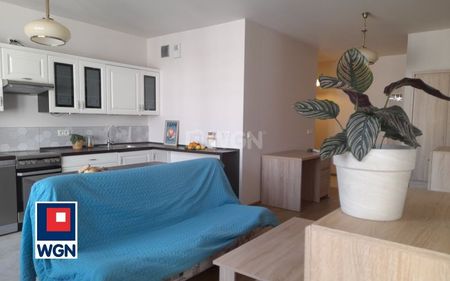 Mieszkanie na wynajem Katowice - 2 pokoje na OSIEDLU PADERWSKIEGO -wolne od 1 maja! - Photo 5