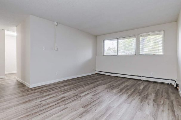 Renovated Suite - 1 Bedroom - Photo 1
