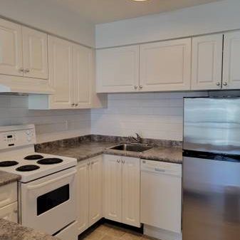 Large Cat Friendly Studio Unit With Laundry Steps From Commercial Dr - Photo 1