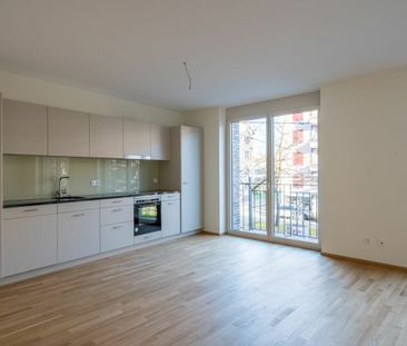 Nähe Weil am Rhein - moderne 4 1/2-Zimmer-Wohnung im 1.OG / ideal f... - Foto 3