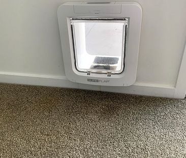 Private, pet friendly, single level 2br in HP - Photo 5