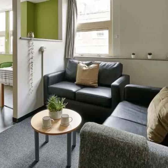 Classic Shared Apartment - Photo 1