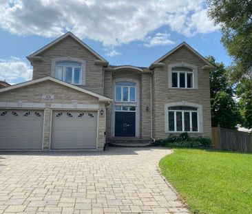 For Lease - 53 Havendale Road Unit# Basement, Toronto, Ontario - Photo 1