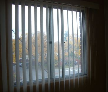 3 Bedrooms,large apartment! Amazing Location! Close to U of C! - Photo 1