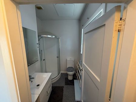 Ready to move in -Epuni Two Bedroom Furnished Home - Photo 5