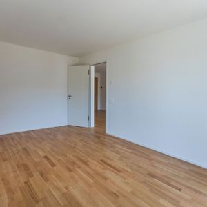 Residenza Radice - moderno 2.5 locali al pianterreno - Photo 2